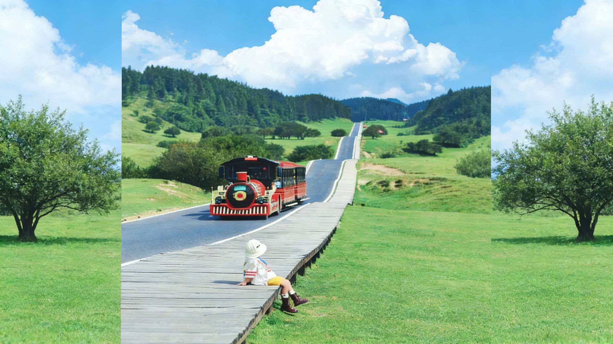 重慶仙女山國家森林公園+武隆天生三橋+烏江畫廊一日遊丨純玩