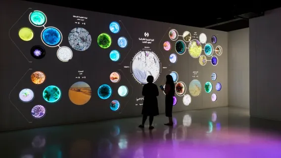 Dubai Museum of The Future Pioneer Pass