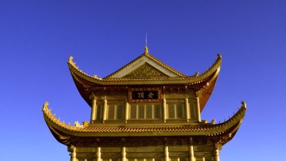 Chengdu Departure: Mount Emei & Leshan Giant Buddha Private Charter Day Tour