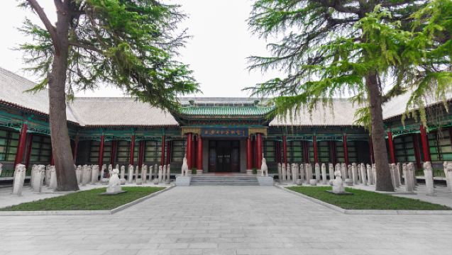 Tang-Dynastie-Nachtbankett: Beilin-Museum-Tour – Stadtmauer von Xi'an – Tang-Palast-Aufführung