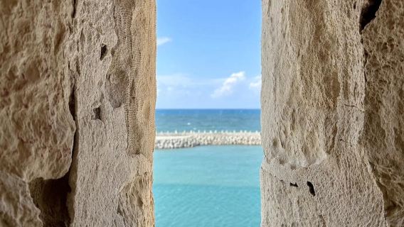 埃及亞歷山大皇宮花園+龐培柱+羅馬劇場【中文包車】