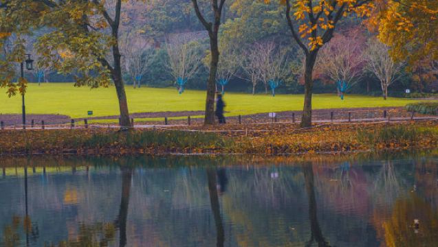 Qingshan Lake - Qingshanhu Water Forest Country Park 5-seater/7-seater private charter [door-to-door pickup] English-speaking guide