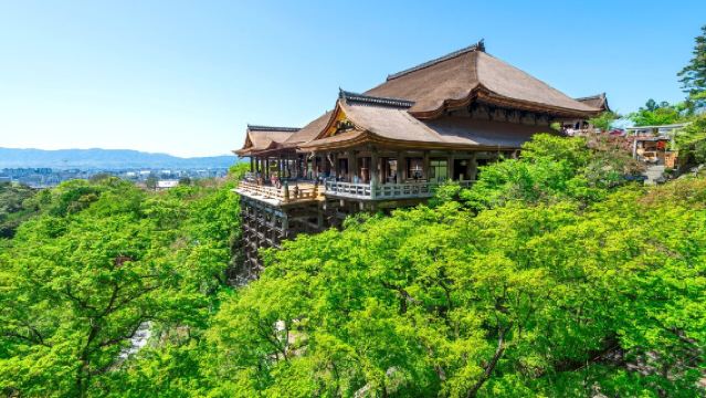 Tagesausflug zu den alten Tempeln in Osaka und Kyoto, Sanjinenzaka + Fütterung der Hirsche im Nara-Park + Fushimi Inari-Taisha