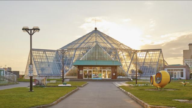 Pakej Pelancongan Mendalam Hakodate Hokkaido: Pengalaman Serba Ada dengan Makanan, Ski, Pemandangan Malam dan Onsen