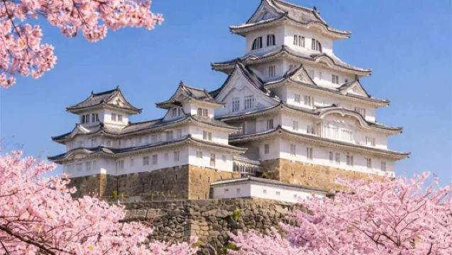 Osaka/Kyoto: Lawatan Sehari Menikmati Bunga Sakura Musim Bunga di Kansai