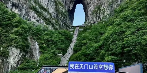 【6人·純玩商務小團】張家界天門山一日遊