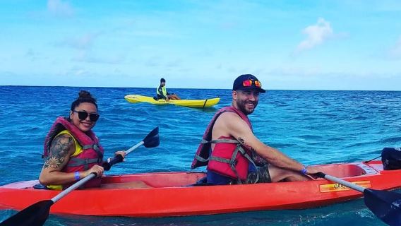 Aruba: Gennemsigtig bund mangrovekajak bådtur