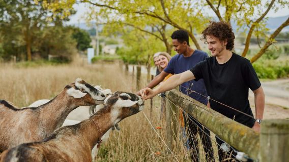 Australia Melbourne Seluruh Kawasan | Pemandu Tempatan Berbahasa Cina | Pemandu Tempatan Berbahasa Inggeris | City Walk | Penterjemah Perniagaan | Pameran | Penerangan Lokasi Tarikan | Pemandu Berbahasa Cina | Dialu-alukan untuk Berunding