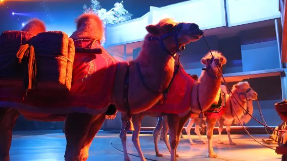 Huaqing Palace+"Legend of the Camel Bell" Performance Combo Ticket Reservation