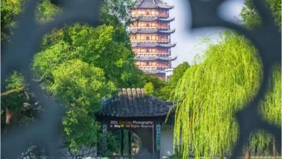 【拙政園】70-80分鐘人員深度導覽  專屬耳麥、門票 拼團