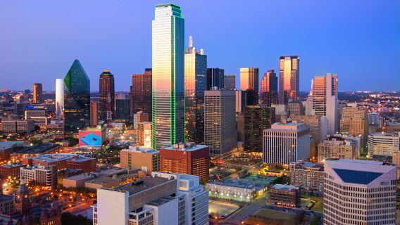 Amerika Syarikat Dallas Taman Botani + Menara Reunion + Dataran Peringatan Kennedy [Sewaan Peribadi Bahasa Cina Dengan Pengambilan Di Tempat]