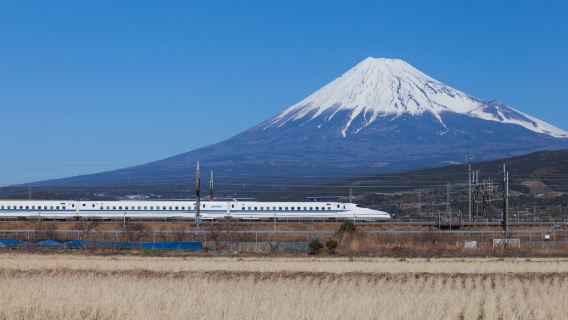 Mt. Fuji & Hakone Day Tour from Tokyo (Return by bullet train in option)