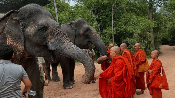 Siem Reap: Kulen Mountain Waterfall Day Trip with Picnic Lunch and Kulen Elephant Forest