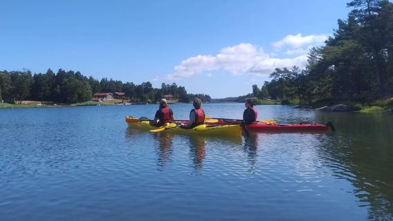 Stockholm: Morgonkajaktur i skärgården med lunch