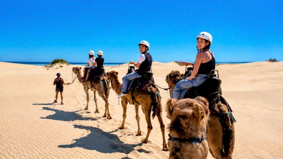 Sydney: Hunter Valley Wine Tasting & Lunch with Port Stephens 4WD Sandboarding & Camel Ride Full Guided Day Tour