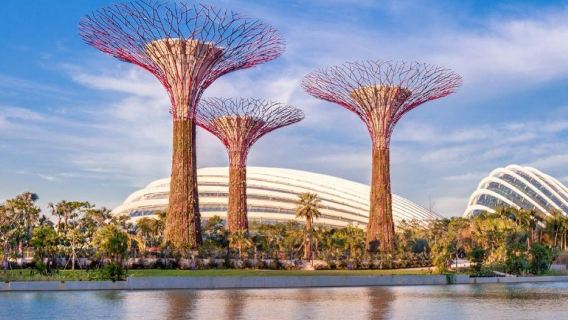 City Experience with Gardens by the Bay