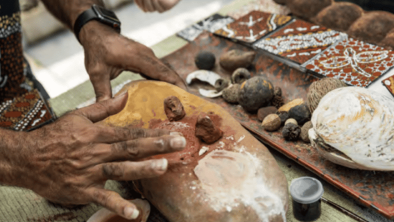 Cairns: Abenteuer an der Küste der Aborigines & Tour zur Mossman Gorge