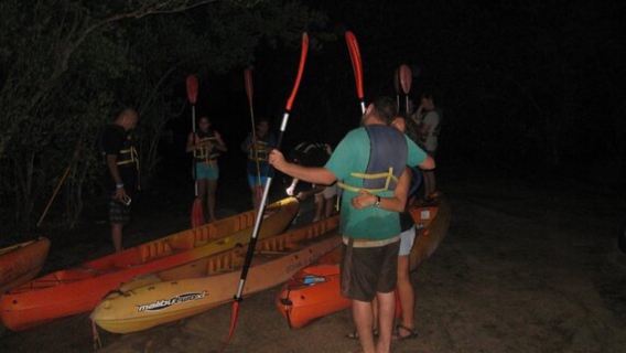 Nighttime kayaking experience at the bioluminescent bay in Vieques, Puerto Rico