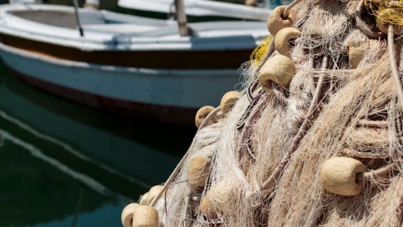 Elaphiti Islands: Full-Day 3-Island Tour with Lunch