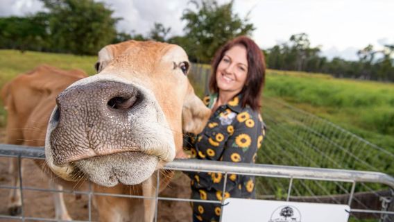 Bundaberg: Splitters Farm Guided Tour