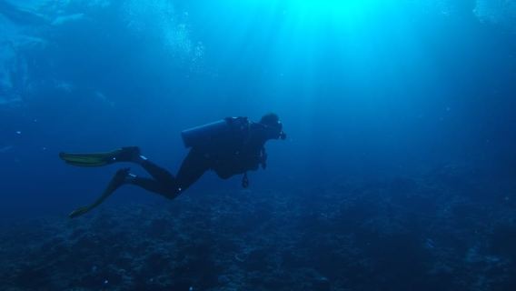 Scuba Diving in Trincomalee