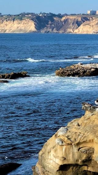San Diego: City and Beaches Guided Highlights Tour