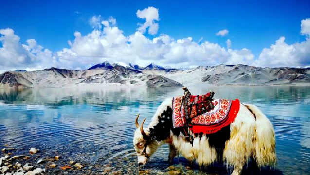 Lawatan Sehari Kumpulan Kecil 6 Orang ke Tasik Karakul + Tasik Bai Sha di Dataran Tinggi Pamir, Kashgar, Xinjiang