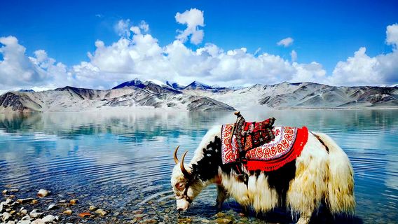 Kashgar Prefecture