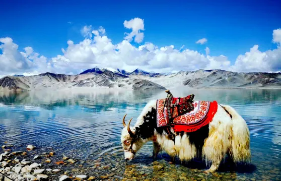 新疆喀什帕米爾高原喀拉庫勒湖景區+白沙湖一日遊，6人拼小團