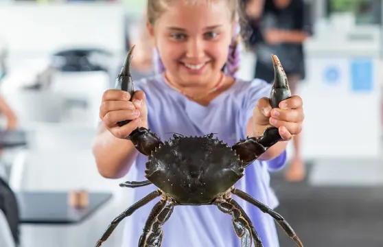 黃金海岸翠兒河捉蟹之旅【Tweed河釣魚+生蠔農場】