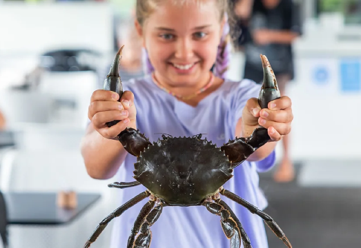 Gold Coast Tweed River Crab Catching Tour [Tweed River Fishing + Oyster Farm]