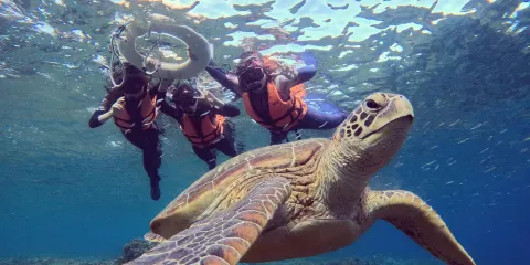 屏東琉球嶼體驗潛水浮潛2小時【小琉球浮潛體驗|附水下拍攝服務|熊潛水 Bear Diving】