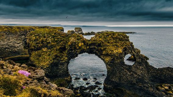 Snæfellsnes: Black Beach Day Trip + Dinner
