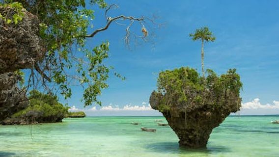 Zanzibar City