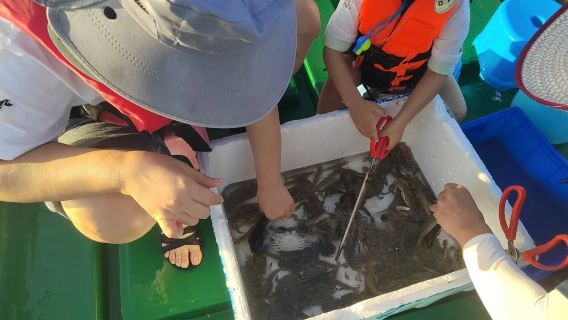 【海南陵水出海收地籠捕魚】包船出海收地籠/收穫均可帶走/可預約釣魚艇包船海釣