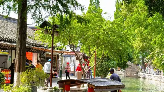 Half-day Tour to Zhujiajiao Water Town (Departing from Shanghai)