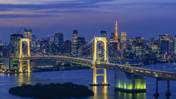 TokyoTransport