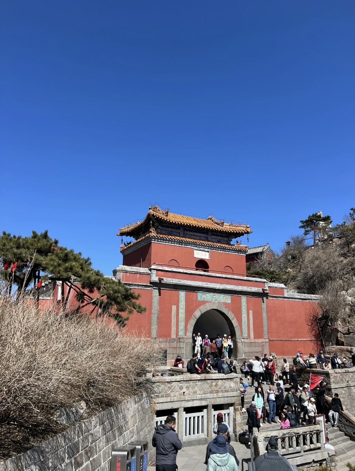 泰山深度講解【大笙說特邀講解團隊·包團講解／1對1／家庭親子·贈旅行險】