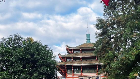 Shaoguan Nanhua Temple + Maba Man Site + Fengcailou Centennial East Street one-day tour- English Service Available