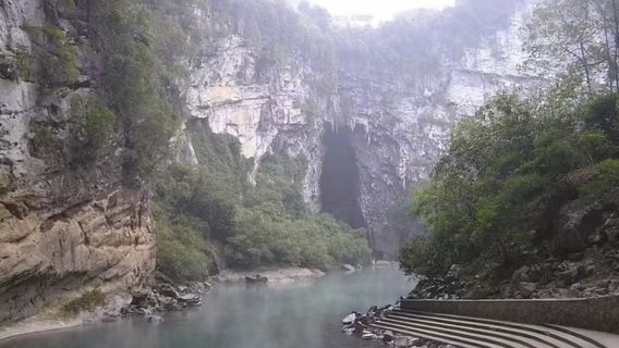 鹿寨日遊