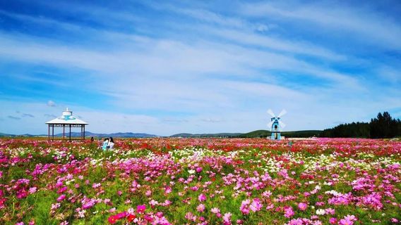 ChengdeTravel Services