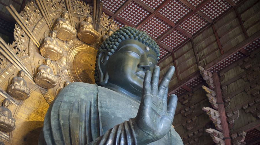 【京都&奈良&宇治一日遊】奈良公園+伏見稻荷+平等院+抹茶街