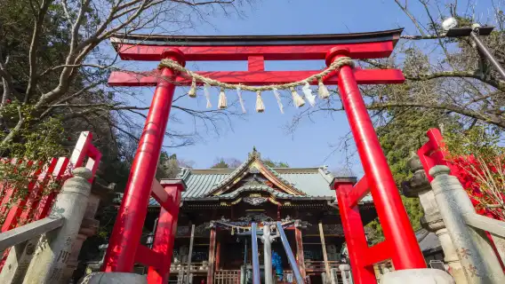 Official Ticket: Mount Takao + Keio Line 1-day Combo Ticket