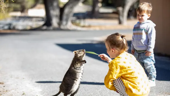 Perth Fremantle - Rottnest round Round-trip Boat Ticket