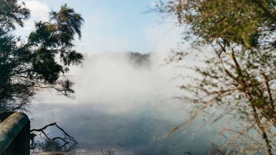 Rotorua: 'Thermal Path Tour' Tour geotermico di mezza giornata