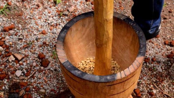 Arusha: Tham quan đồn điền cà phê cùng trải nghiệm nếm thử và thực hành…