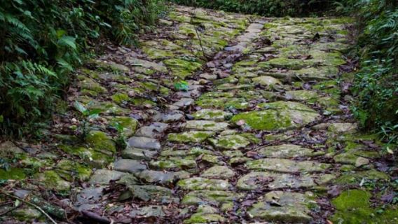 Paraty: Gold Trail Regenwald-Wanderung