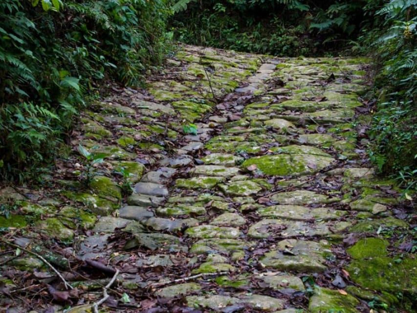 帕拉蒂：黃金步道雨林健行之旅