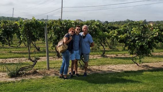 Niagara Falls: USA Small-Group Boutique Wine Tour
