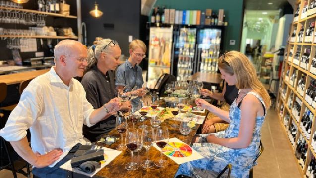 Bordeaux: Tour Lịch sử Rượu vang kèm Thử rượu